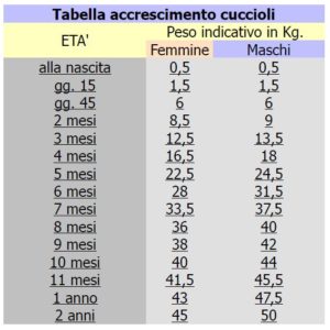 Ernia di 4 mm intervertebrali